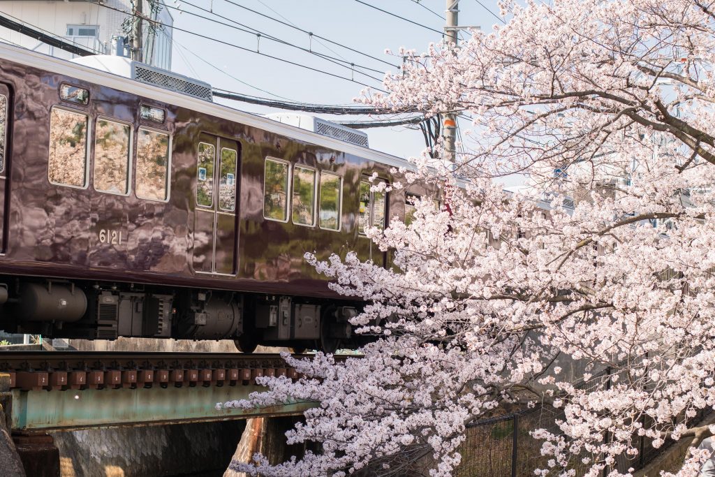 阪神電車と桜リフレバージョン