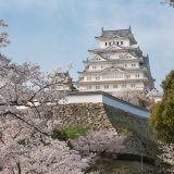 姫路城と桜