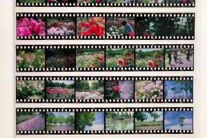 リバーサルフィルム