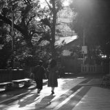 neopan100 acros 作例
