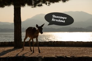 しゅんさんぽ広島