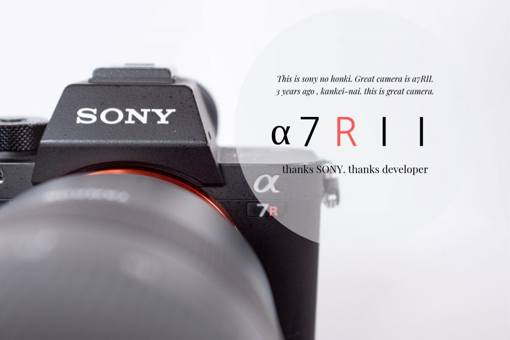 SONY α7RII」を約1年間使い込んで感じたこと【レビュー・作例多数