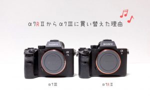 α7RIIIに買い替えた