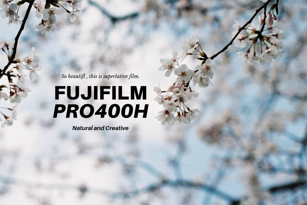 FUJIFILM PRO400H」はナチュラル系フィルムの最高峰かもしれない 
