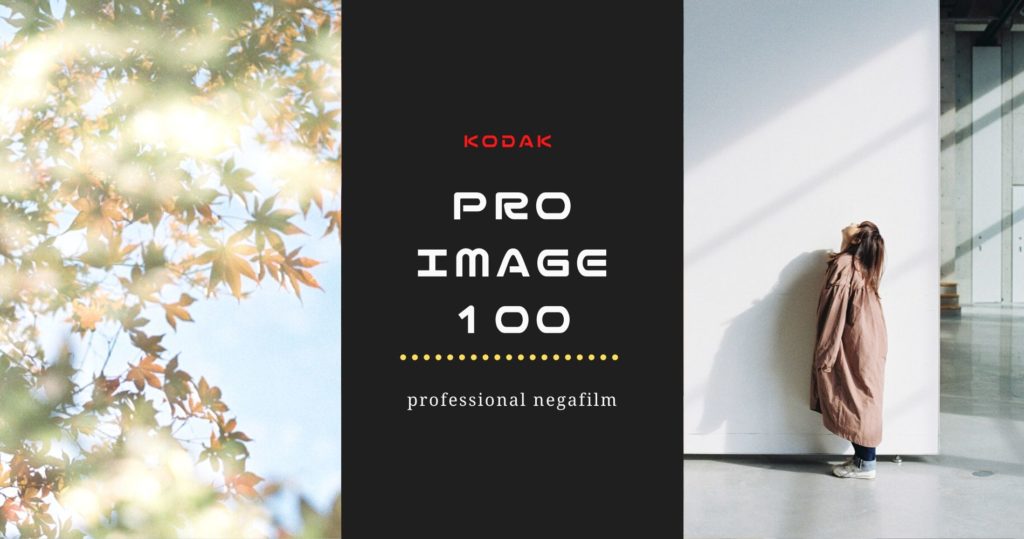 「Kodak Pro Image100」はコダックの魅力が詰め込まれたコスパ抜群のネガフィルム【レビュー・作例】 | しゅんさんぽ