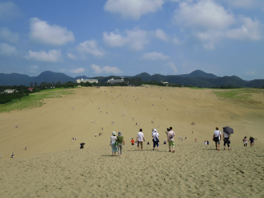鳥取砂丘 2014年